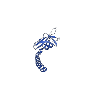 18119_8q30_Y_v1-0
Sulfolobus acidocaldarius AAP filament.