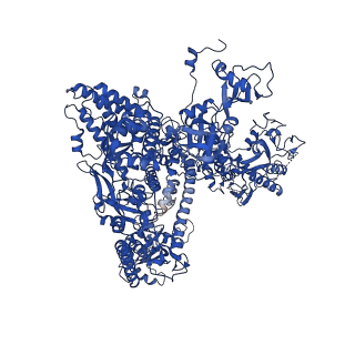 18120_8q3b_A_v1-1
The closed state of the ASFV apo-RNA polymerase