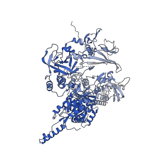 18120_8q3b_B_v1-1
The closed state of the ASFV apo-RNA polymerase