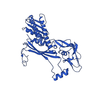 18120_8q3b_C_v1-1
The closed state of the ASFV apo-RNA polymerase