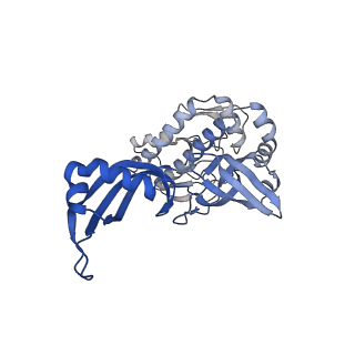 18120_8q3b_D_v1-1
The closed state of the ASFV apo-RNA polymerase