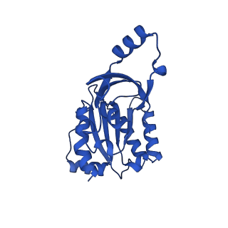18120_8q3b_E_v1-1
The closed state of the ASFV apo-RNA polymerase