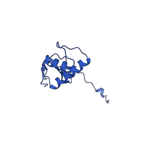 18120_8q3b_F_v1-1
The closed state of the ASFV apo-RNA polymerase