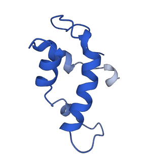18120_8q3b_J_v1-1
The closed state of the ASFV apo-RNA polymerase