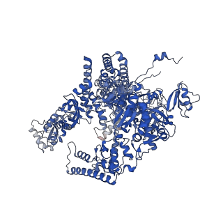 18129_8q3k_A_v1-1
The open state of the ASFV apo-RNA polymerase