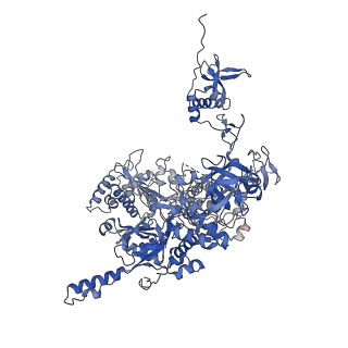 18129_8q3k_B_v1-1
The open state of the ASFV apo-RNA polymerase