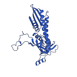 18129_8q3k_C_v1-1
The open state of the ASFV apo-RNA polymerase