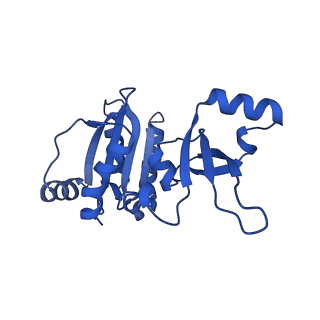 18129_8q3k_E_v1-1
The open state of the ASFV apo-RNA polymerase