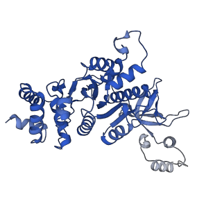 18130_8q3n_A_v1-1
Bacterial transcription termination factor Rho + ADP