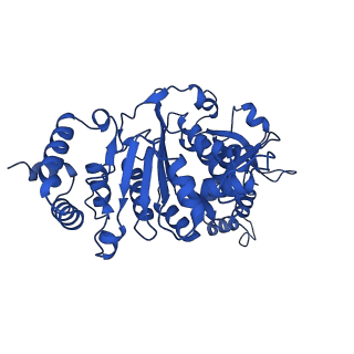 18130_8q3n_B_v1-1
Bacterial transcription termination factor Rho + ADP