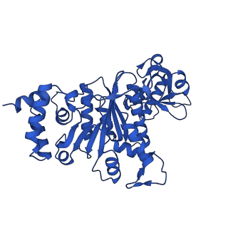 18130_8q3n_C_v1-1
Bacterial transcription termination factor Rho + ADP