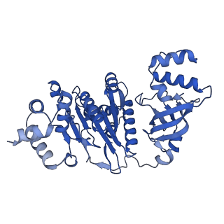 18130_8q3n_E_v1-1
Bacterial transcription termination factor Rho + ADP