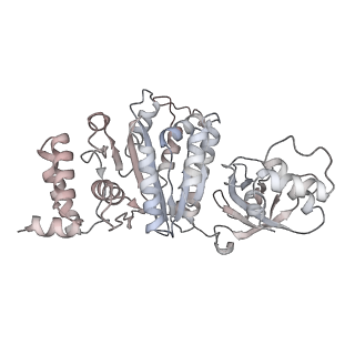 18130_8q3n_F_v1-1
Bacterial transcription termination factor Rho + ADP