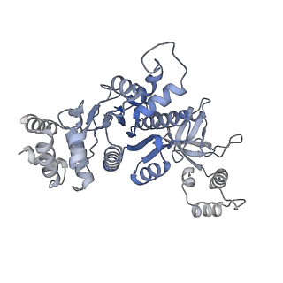 18131_8q3o_A_v1-0
Bacterial transcription termination factor Rho + pppGpp