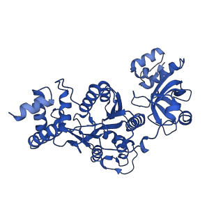 18131_8q3o_D_v1-0
Bacterial transcription termination factor Rho + pppGpp