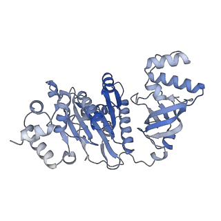 18131_8q3o_E_v1-0
Bacterial transcription termination factor Rho + pppGpp