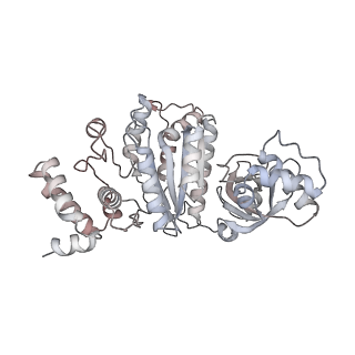 18131_8q3o_F_v1-0
Bacterial transcription termination factor Rho + pppGpp