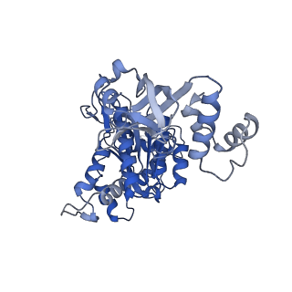 18132_8q3p_a_v1-0
Bacterial transcription termination factor Rho G150D mutant