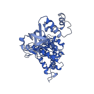 18132_8q3p_b_v1-0
Bacterial transcription termination factor Rho G150D mutant