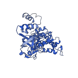 18132_8q3p_c_v1-0
Bacterial transcription termination factor Rho G150D mutant