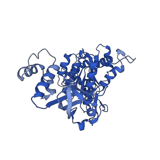 18132_8q3p_d_v1-0
Bacterial transcription termination factor Rho G150D mutant