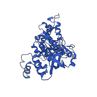 18132_8q3p_e_v1-0
Bacterial transcription termination factor Rho G150D mutant