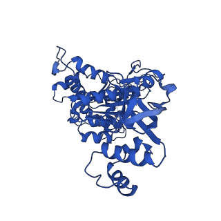 18132_8q3p_f_v1-0
Bacterial transcription termination factor Rho G150D mutant