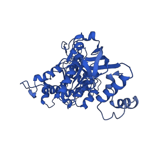 18132_8q3p_g_v1-0
Bacterial transcription termination factor Rho G150D mutant