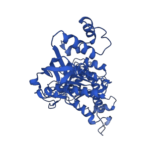 18132_8q3p_i_v1-0
Bacterial transcription termination factor Rho G150D mutant