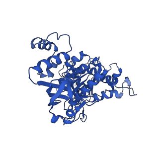 18132_8q3p_j_v1-0
Bacterial transcription termination factor Rho G150D mutant
