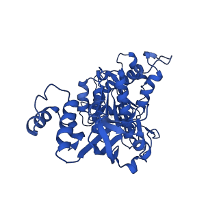 18132_8q3p_k_v1-0
Bacterial transcription termination factor Rho G150D mutant