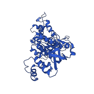18132_8q3p_l_v1-0
Bacterial transcription termination factor Rho G150D mutant