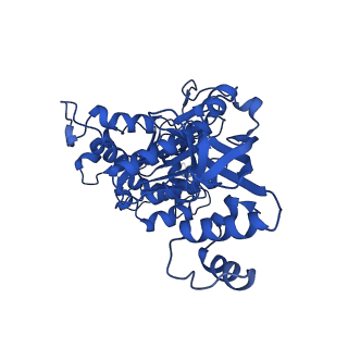 18132_8q3p_m_v1-0
Bacterial transcription termination factor Rho G150D mutant