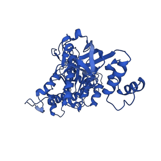 18132_8q3p_n_v1-0
Bacterial transcription termination factor Rho G150D mutant