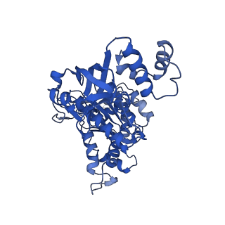 18132_8q3p_o_v1-0
Bacterial transcription termination factor Rho G150D mutant