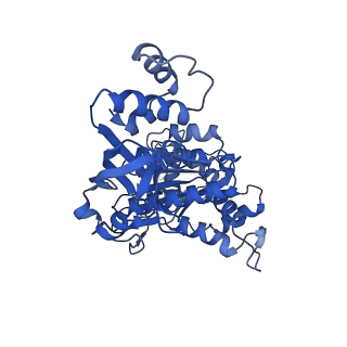 18132_8q3p_p_v1-0
Bacterial transcription termination factor Rho G150D mutant