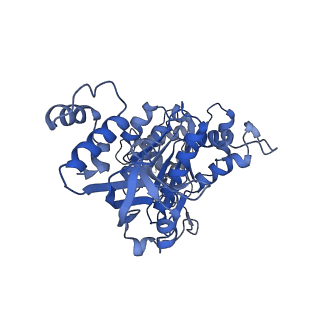 18132_8q3p_q_v1-0
Bacterial transcription termination factor Rho G150D mutant