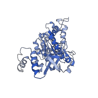 18132_8q3p_r_v1-0
Bacterial transcription termination factor Rho G150D mutant