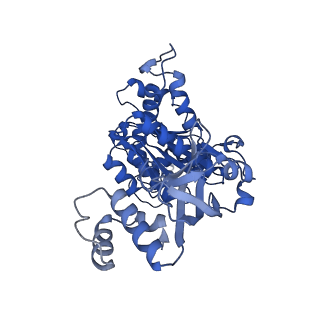 18133_8q3q_a_v1-0
Bacterial transcription termination factor Rho G152D mutant