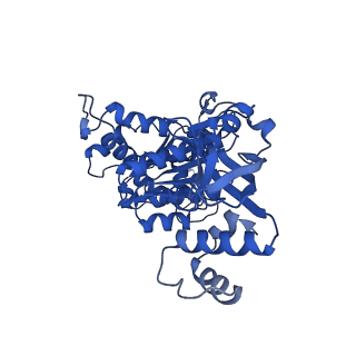 18133_8q3q_b_v1-0
Bacterial transcription termination factor Rho G152D mutant