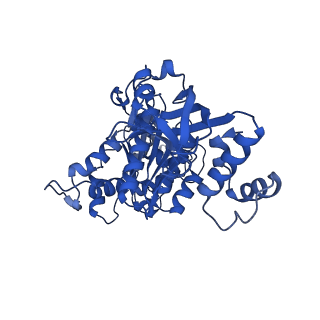 18133_8q3q_c_v1-0
Bacterial transcription termination factor Rho G152D mutant