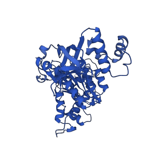 18133_8q3q_d_v1-0
Bacterial transcription termination factor Rho G152D mutant