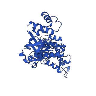 18133_8q3q_e_v1-0
Bacterial transcription termination factor Rho G152D mutant