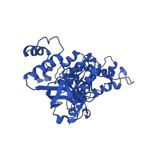 18133_8q3q_f_v1-0
Bacterial transcription termination factor Rho G152D mutant