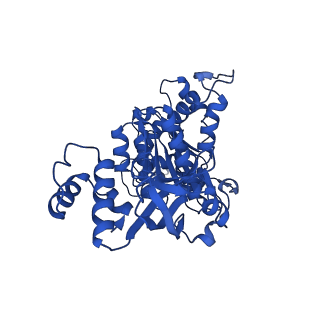 18133_8q3q_g_v1-0
Bacterial transcription termination factor Rho G152D mutant