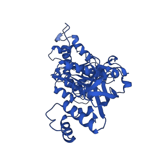 18133_8q3q_h_v1-0
Bacterial transcription termination factor Rho G152D mutant