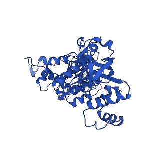 18133_8q3q_i_v1-0
Bacterial transcription termination factor Rho G152D mutant