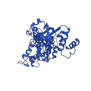 18133_8q3q_j_v1-0
Bacterial transcription termination factor Rho G152D mutant