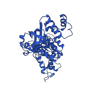 18133_8q3q_k_v1-0
Bacterial transcription termination factor Rho G152D mutant
