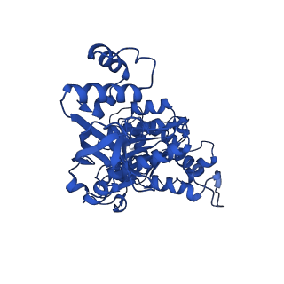 18133_8q3q_l_v1-0
Bacterial transcription termination factor Rho G152D mutant